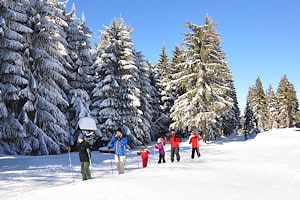 Winter im Thüringer Wald